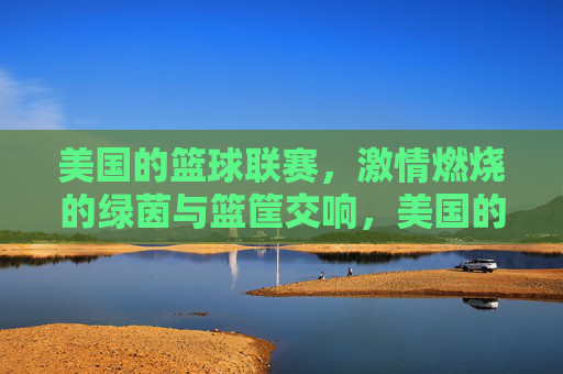 美国的篮球联赛，激情燃烧的绿茵与篮筐交响，美国的篮球联赛，激情燃烧的绿茵与篮筐交响