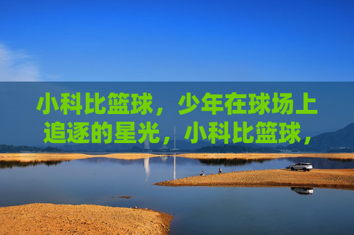 小科比篮球,少年在球场上追逐的星光,小科比篮球,少年在球场上追逐的星光