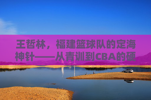 王哲林,福建篮球队的定海神针——从青训到CBA的硬核成长之路,王哲林,福建篮球队定海神针,从青训到CBA的硬核成长之路