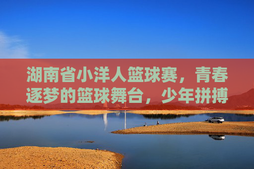 湖南省小洋人篮球赛,青春逐梦的篮球舞台,少年拼搏的激情赛场,湖南省小洋人篮球赛,青春逐梦的篮球舞台,少年拼搏的激情赛场