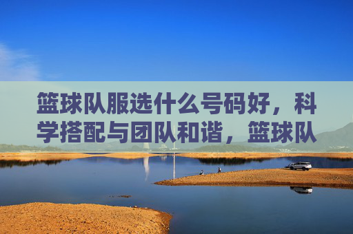 篮球队服选什么号码好,科学搭配与团队和谐,篮球队服号码选择,科学搭配与团队和谐