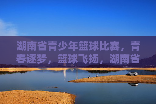 湖南省青少年篮球比赛,青春逐梦,篮球飞扬,湖南省青少年篮球比赛,青春逐梦,篮球飞扬