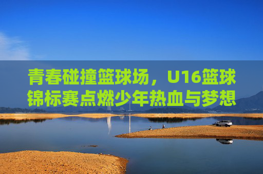 青春碰撞篮球场，U16篮球锦标赛点燃少年热血与梦想，青春碰撞篮球场，U16篮球锦标赛点燃少年热血与梦想