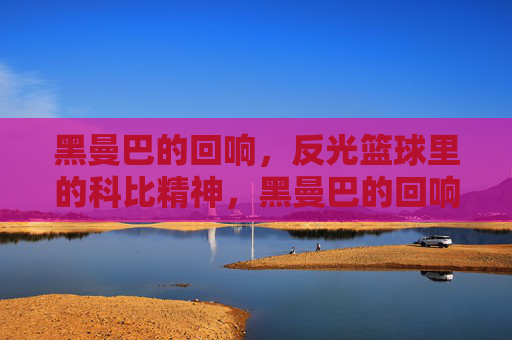 黑曼巴的回响,反光篮球里的科比精神,黑曼巴的回响,反光篮球里的科比精神