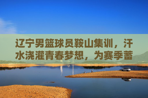 辽宁男篮球员鞍山集训,汗水浇灌青春梦想,为赛季蓄力,辽宁男篮鞍山集训,汗水浇灌青春梦想,为赛季蓄力