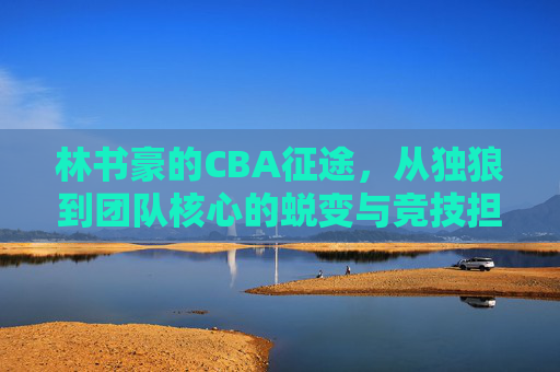 林书豪的CBA征途,从独狼到团队核心的蜕变与竞技担当,林书豪的CBA征途,从独狼到团队核心的蜕变与竞技担当