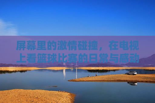 屏幕里的激情碰撞,在电视上看篮球比赛的日常与感动,屏幕里的激情碰撞,电视看篮球的日常与感动