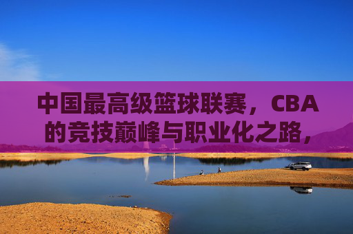 中国最高级篮球联赛,CBA的竞技巅峰与职业化之路,中国最高级篮球联赛CBA的竞技巅峰与职业化之路
