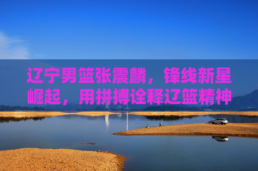 辽宁男篮张震麟,锋线新星崛起,用拼搏诠释辽篮精神,辽宁男篮张震麟,锋线新星崛起,以拼搏诠释辽篮精神