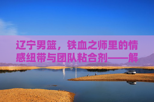 辽宁男篮,铁血之师里的情感纽带与团队粘合剂——解析球员关系背后的辽篮魂