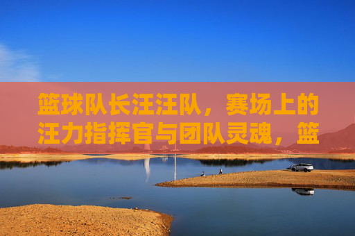 篮球队长汪汪队,赛场上的汪力指挥官与团队灵魂,篮球队长汪汪队,赛场上的汪力指挥官与团队灵魂