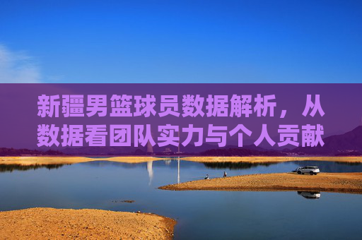 新疆男篮球员数据解析,从数据看团队实力与个人贡献的平衡