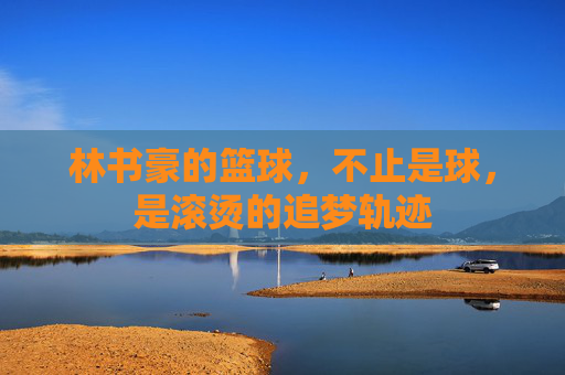林书豪的篮球，不止是球，是滚烫的追梦轨迹