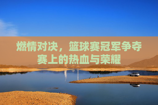 燃情对决,篮球赛冠军争夺赛上的热血与荣耀
