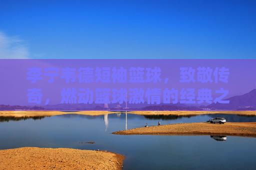 李宁韦德短袖篮球，致敬传奇，燃动篮球激情的经典之选