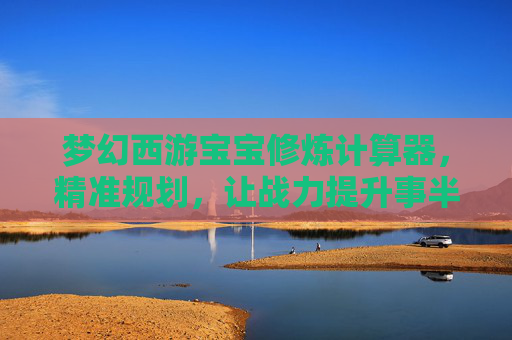 梦幻西游宝宝修炼计算器，精准规划，让战力提升事半功倍，梦幻西游宝宝修炼计算器，精准规划，让战力提升事半功倍