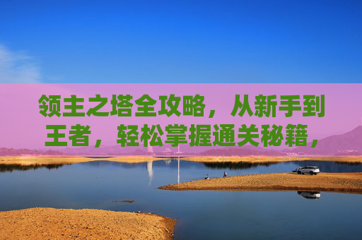 领主之塔全攻略,从新手到王者,轻松掌握通关秘籍,领主之塔全攻略,从新手到王者,轻松掌握通关秘籍