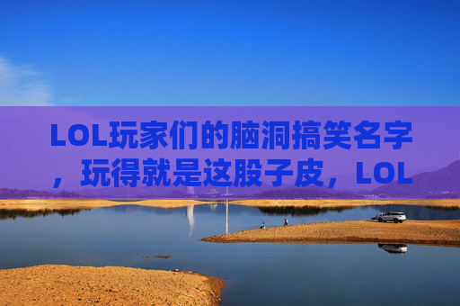 LOL玩家们的脑洞搞笑名字，玩得就是这股子皮，LOL玩家脑洞搞笑名字，玩得就是这股皮劲