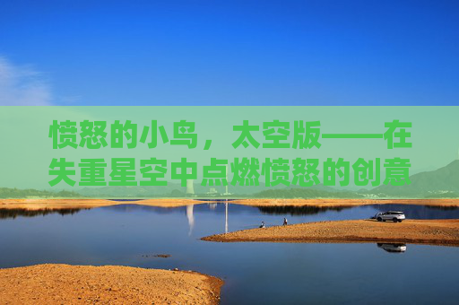 愤怒的小鸟,太空版——在失重星空中点燃愤怒的创意火花,愤怒的小鸟,太空版——在失重星空中点燃愤怒的创意火花