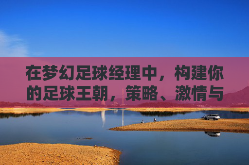 在梦幻足球经理中，构建你的足球王朝，策略、激情与足球的无限可能，梦幻足球经理，构建足球王朝，策略、激情与足球的无限可能