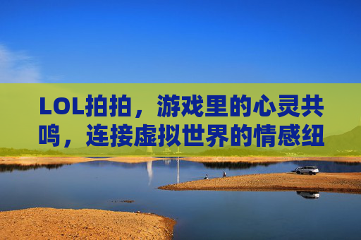 LOL拍拍，游戏里的心灵共鸣，连接虚拟世界的情感纽带，LOL拍拍，游戏里的心灵共鸣，连接虚拟世界的情感纽带