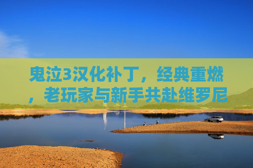 鬼泣3汉化补丁，经典重燃，老玩家与新手共赴维罗尼卡之约，鬼泣3汉化补丁，经典重燃，新老玩家共赴维罗尼卡之约