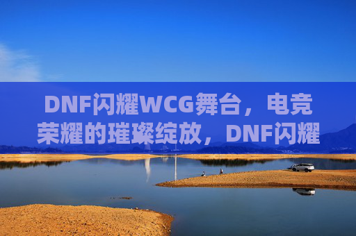 DNF闪耀WCG舞台，电竞荣耀的璀璨绽放，DNF闪耀WCG舞台，电竞荣耀的璀璨绽放