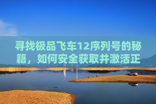 寻找极品飞车12序列号的秘籍,如何安全获取并激活正版游戏?寻找极品飞车12序列号秘籍,安全激活正版游戏的正确方法