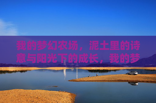 我的梦幻农场,泥土里的诗意与阳光下的成长,我的梦幻农场,泥土里的诗意与阳光下的成长