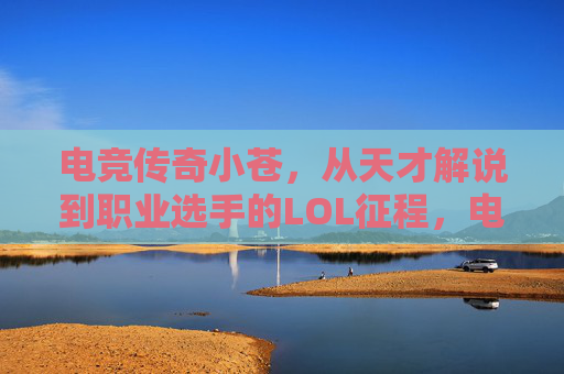 电竞传奇小苍，从天才解说到职业选手的LOL征程，电竞传奇小苍，从天才解说到职业选手的LOL征程
