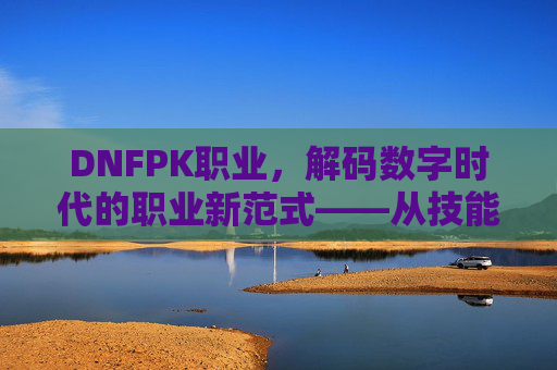 DNFPK职业,解码数字时代的职业新范式——从技能到生态的转型之路,DNFPK职业,解码数字时代的职业新范式——从技能到生态的转型之路