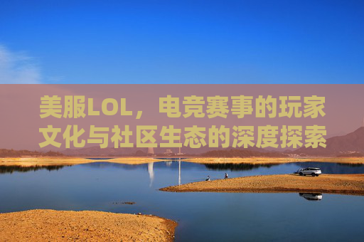 美服LOL,电竞赛事的玩家文化与社区生态的深度探索,美服LOL电竞赛事玩家文化与社区生态的深度探索