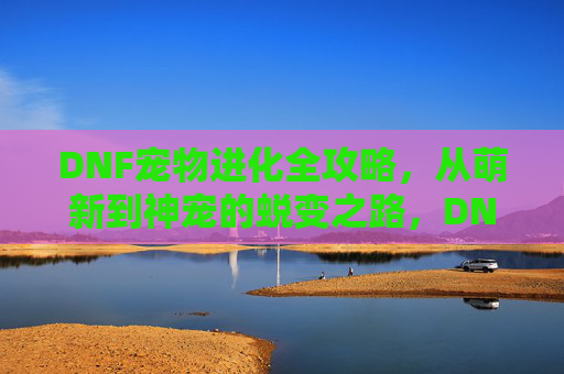 DNF宠物进化全攻略,从萌新到神宠的蜕变之路,DNF宠物进化全攻略,从萌新到神宠的蜕变之路