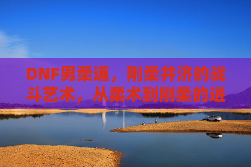 DNF男柔道,刚柔并济的战斗艺术,从柔术到刚柔的进化之路