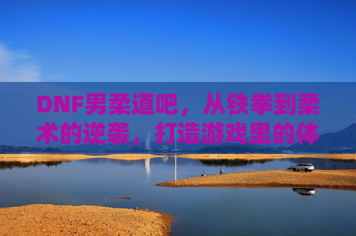 DNF男柔道吧,从铁拳到柔术的逆袭,打造游戏里的体术大师