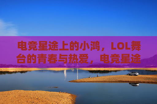 电竞星途上的小鸿,LOL舞台的青春与热爱,电竞星途上的小鸿,LOL舞台的青春与热爱