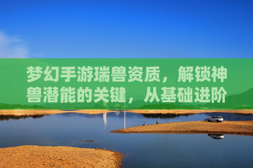 梦幻手游瑞兽资质，解锁神兽潜能的关键，从基础进阶到顶尖的进阶之路