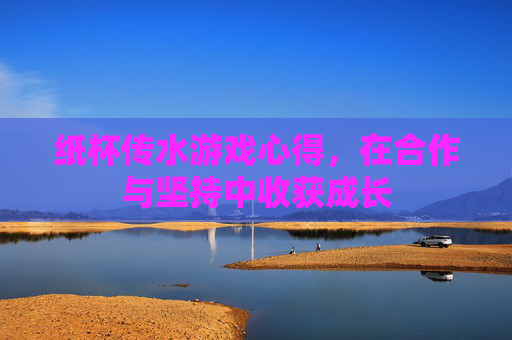 纸杯传水游戏心得,在合作与坚持中收获成长