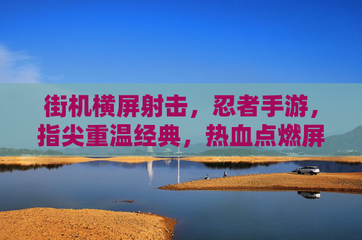 街机横屏射击，忍者手游，指尖重温经典，热血点燃屏幕