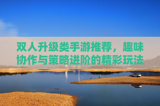 双人升级类手游推荐,趣味协作与策略进阶的精彩玩法合集