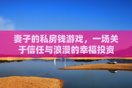 妻子的私房钱游戏,一场关于信任与浪漫的幸福投资