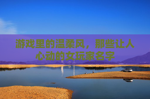 游戏里的温柔风,那些让人心动的女玩家名字