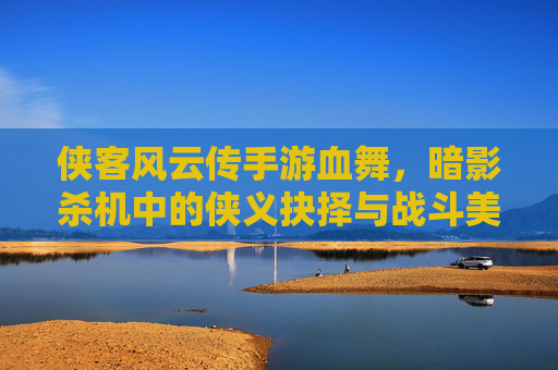 侠客风云传手游血舞,暗影杀机中的侠义抉择与战斗美学