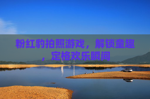 粉红豹拍照游戏,解锁童趣,定格欢乐瞬间
