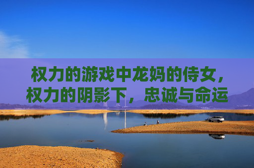 权力的游戏中龙妈的侍女,权力的阴影下,忠诚与命运的交响