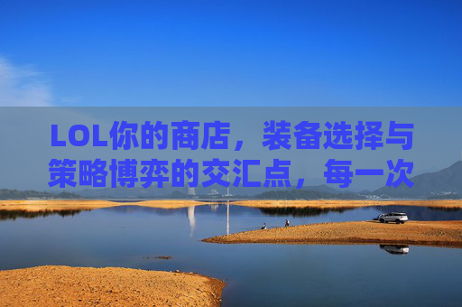 LOL你的商店,装备选择与策略博弈的交汇点,每一次决策都决定战斗走向,LOL商店,装备选择与策略博弈的交汇点,每一次决策都决定战斗走向