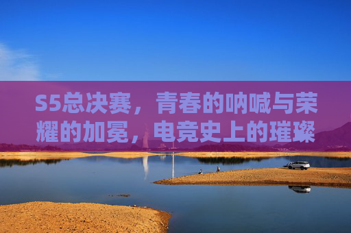 S5总决赛，青春的呐喊与荣耀的加冕，电竞史上的璀璨篇章，S5总决赛，青春的呐喊与荣耀的加冕，电竞史上的璀璨篇章