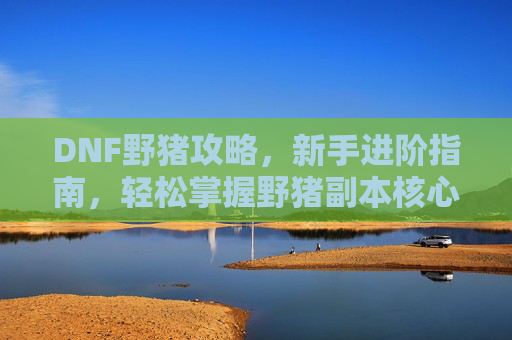 DNF野猪攻略，新手进阶指南，轻松掌握野猪副本核心技巧，DNF野猪副本新手进阶攻略，轻松掌握核心技巧