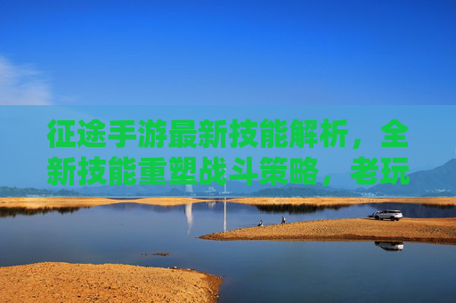 征途手游最新技能解析,全新技能重塑战斗策略,老玩家焕新战力,新手快速进阶指南
