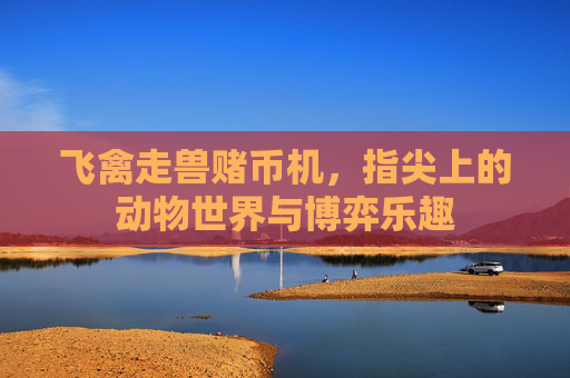 飞禽走兽赌币机,指尖上的动物世界与博弈乐趣